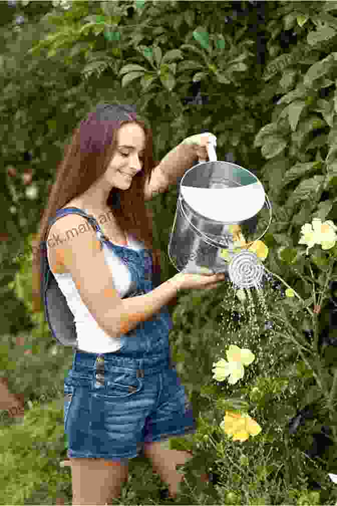 A Woman Watering Her Personal Plant How To Grow Marijuana: A Quick Step By Step Guide For Beginners (who Just Want A Personal Plant): How To Grow Marijuana Cook Cannabis Infused Edibles Cannabis Cookbook Marijuana Weed )