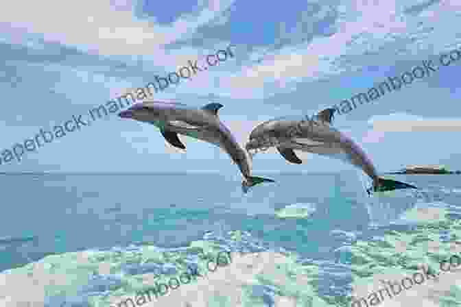 Photograph Of A Pod Of Dolphins Leaping Out Of The Water. SeaSpray17: Ocean Photography Haiku Poetry