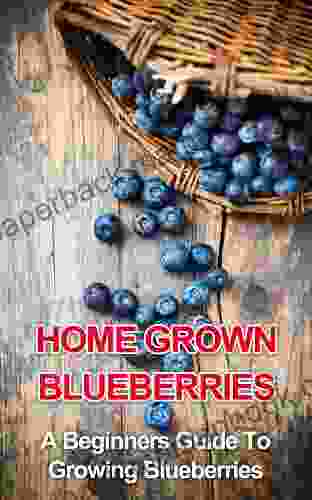 Home Grown Blueberries: A Beginners Guide To Growing Blueberries (beginners Gardening Home Grown Berries Backyard Berries Garden Design Urban Farming Organic Fruit Growing Berries)