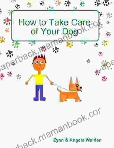 How To Take Care Of Your Dog